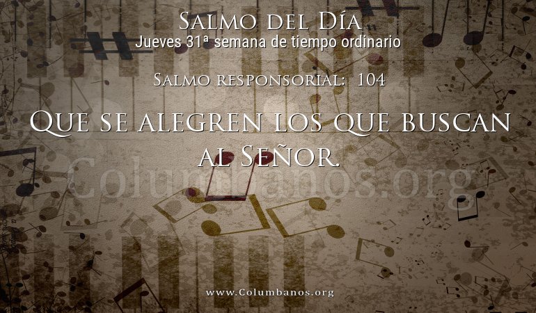 Salmo responsorial:  104