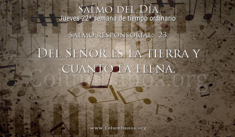 Salmo responsorial: 23 Salmo responsorial: 23